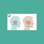 طرحواره ها چه هستند؟